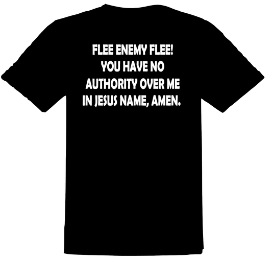 Flee Enemy Flee T-Shirt